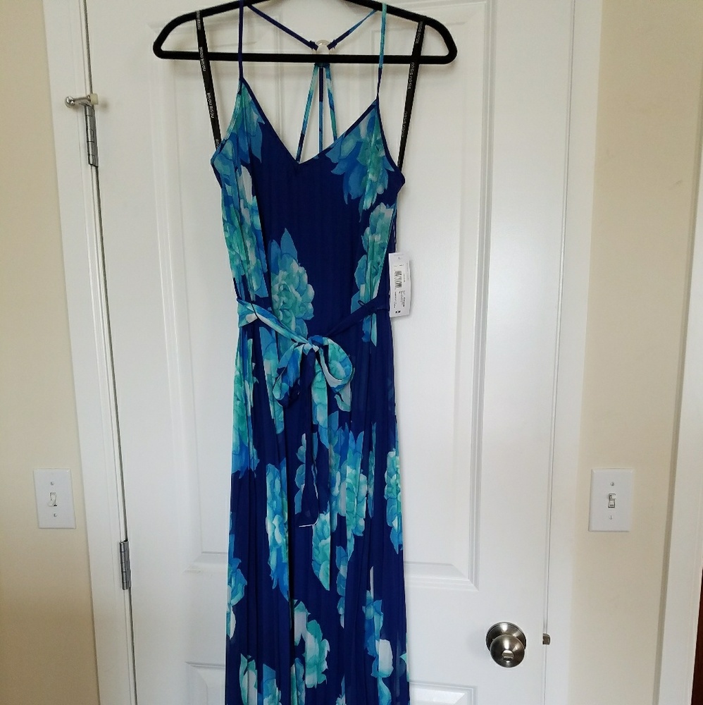 Beautiful Bisou Bisou maxi dress