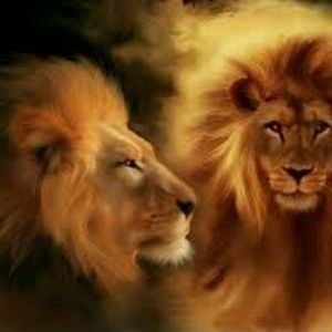 Meet your Posher, Charlando