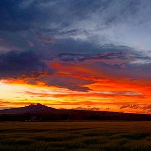 Meet your Posher, Alan