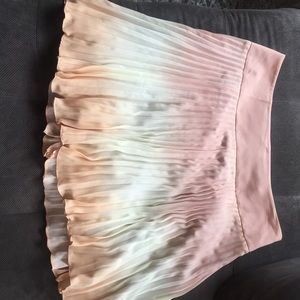 Pleated Skirt