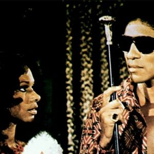 Meet your Posher, Wayne