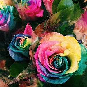 Meet your Posher, Annalisa