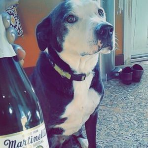 Meet your Posher, Sheri