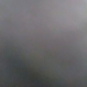 Meet your Posher, Tink