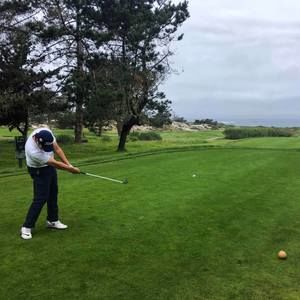 Meet your Posher, Riley