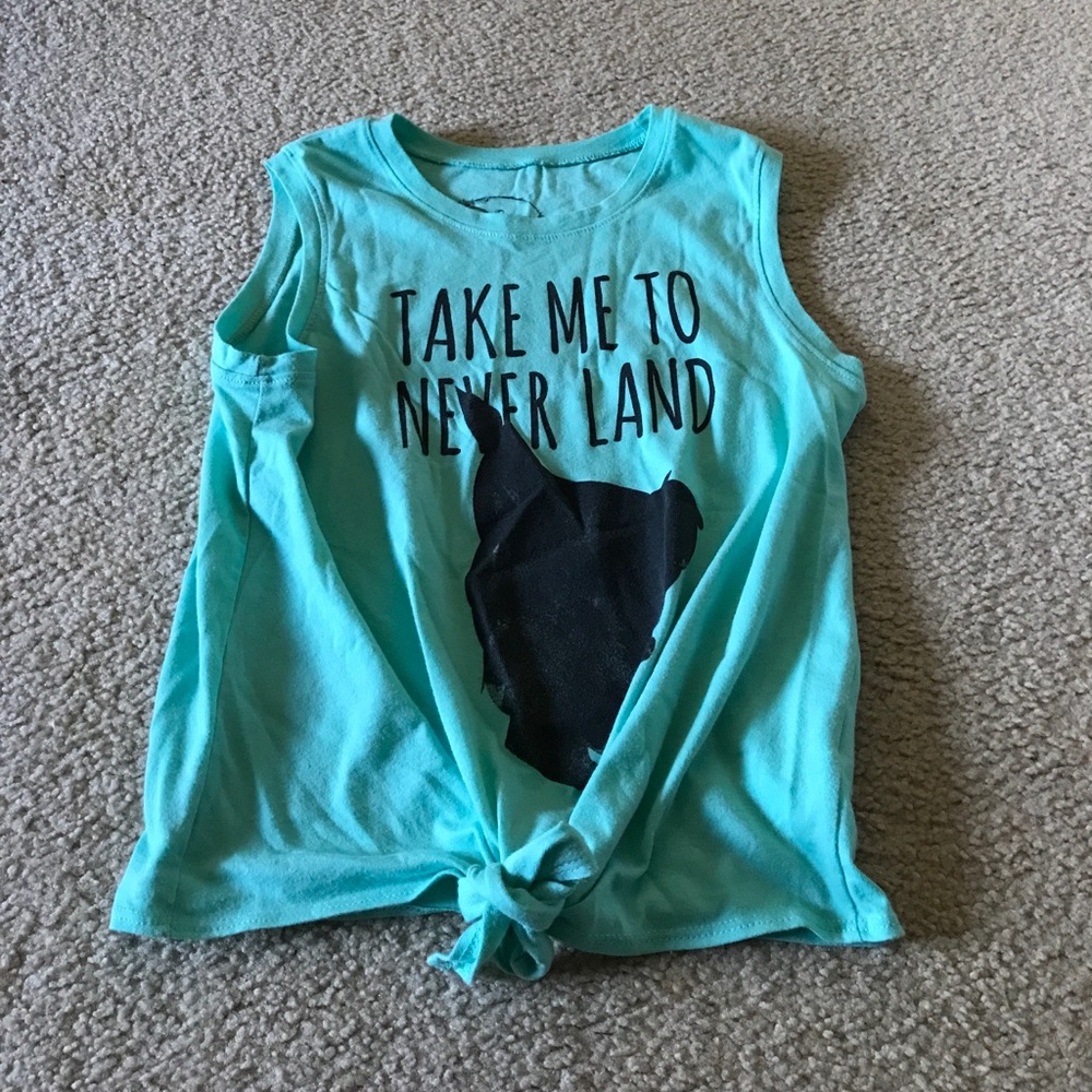 Faded Disney "Take Me To Neverland" Crop Too