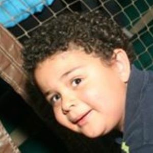 Meet your Posher, Alexander