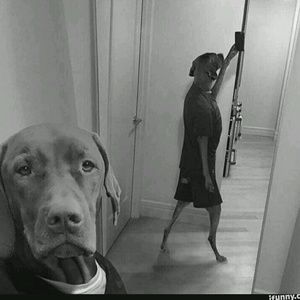 Meet your Posher, Luis