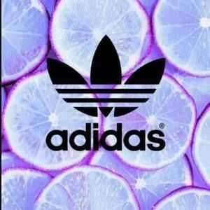 Meet your Posher, Mandalyn