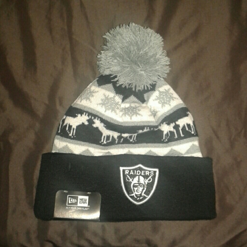 NFL Snap beanie