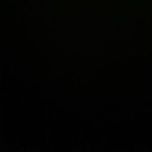 Meet your Posher, Tyree