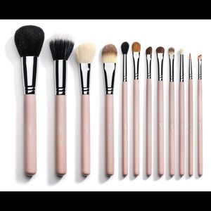 12 piece pink makeup brushes