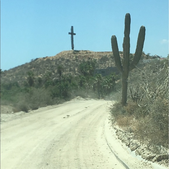 Meet your Posher, Danielle - Picture 3 of 8