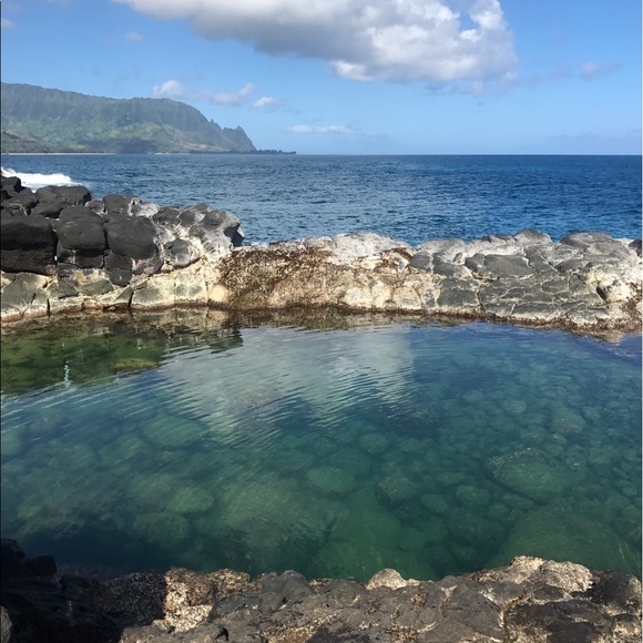 Meet your Posher, Danielle - Picture 7 of 8