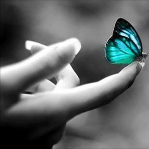 Meet your Posher, Sheena