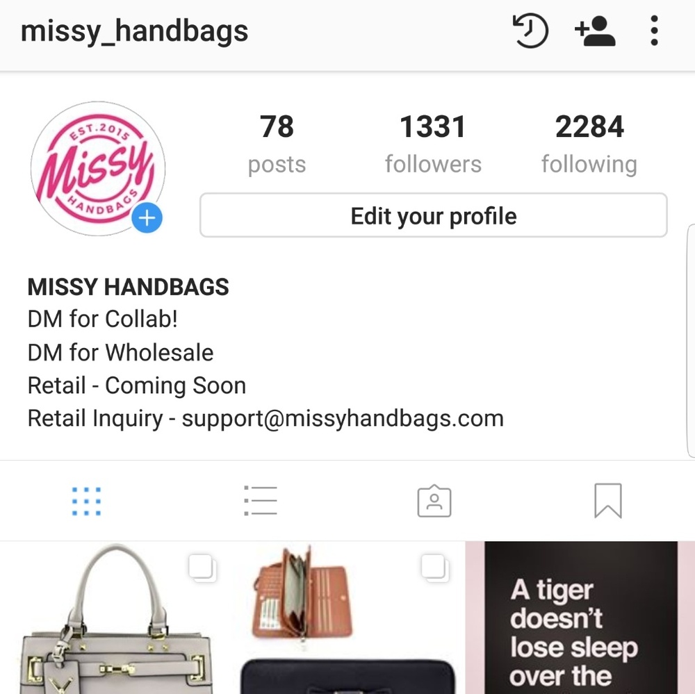 Handbag