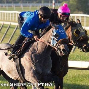 Meet your Posher, Irvin