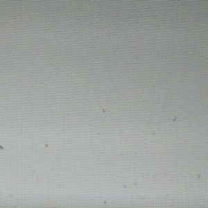 Meet your Posher, Dion