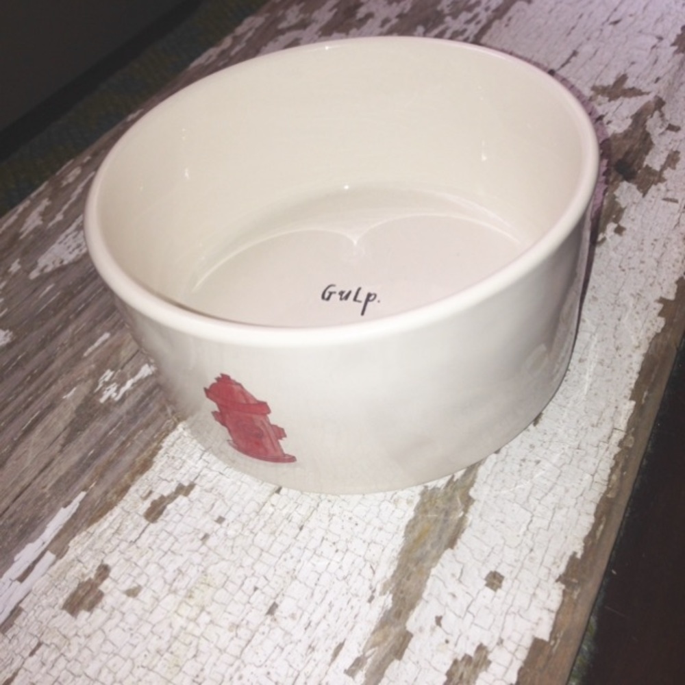 Rae Dunn dog dish