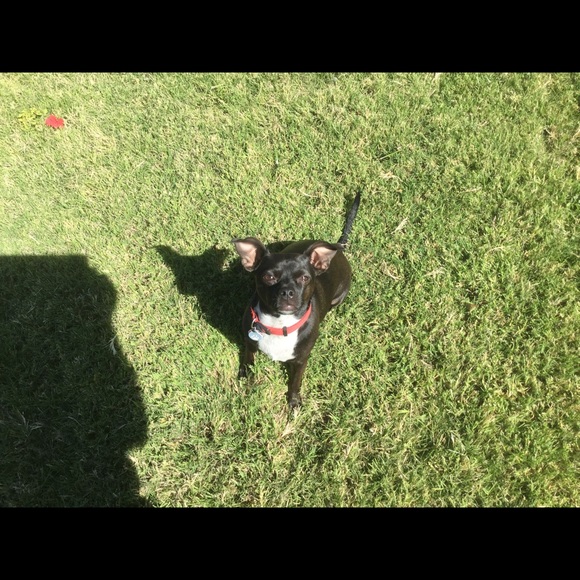Meet your Posher, Peggy - Picture 1 of 1
