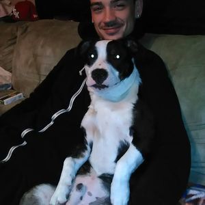 Meet your Posher, Nathaniel