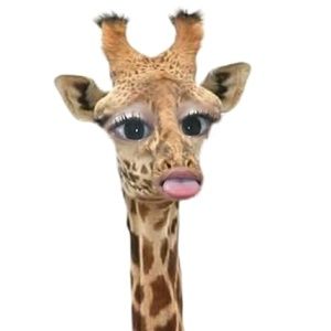 Meet your Posher, Tiuesa