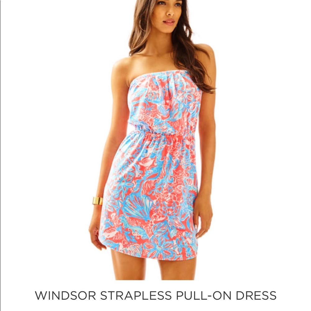 SOLD !! NWT Lilly Pulitzer Windsor Dress - Medium