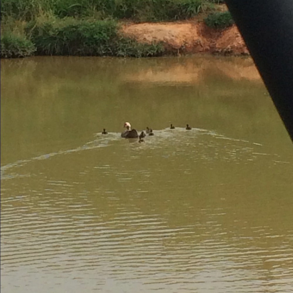 Meet your Posher, Jamie