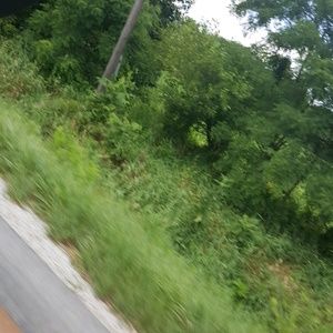 Meet your Posher, Bree