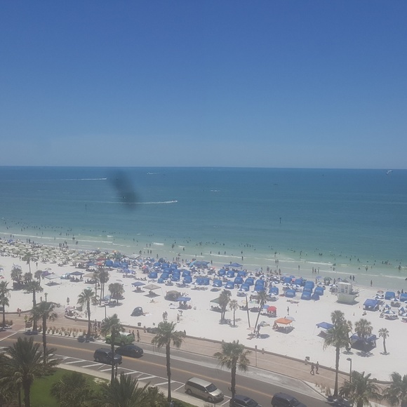 Meet your Posher, Danyelle - Picture 1 of 1