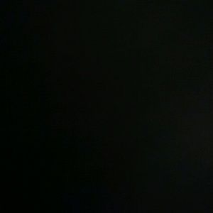 Meet your Posher, Rose