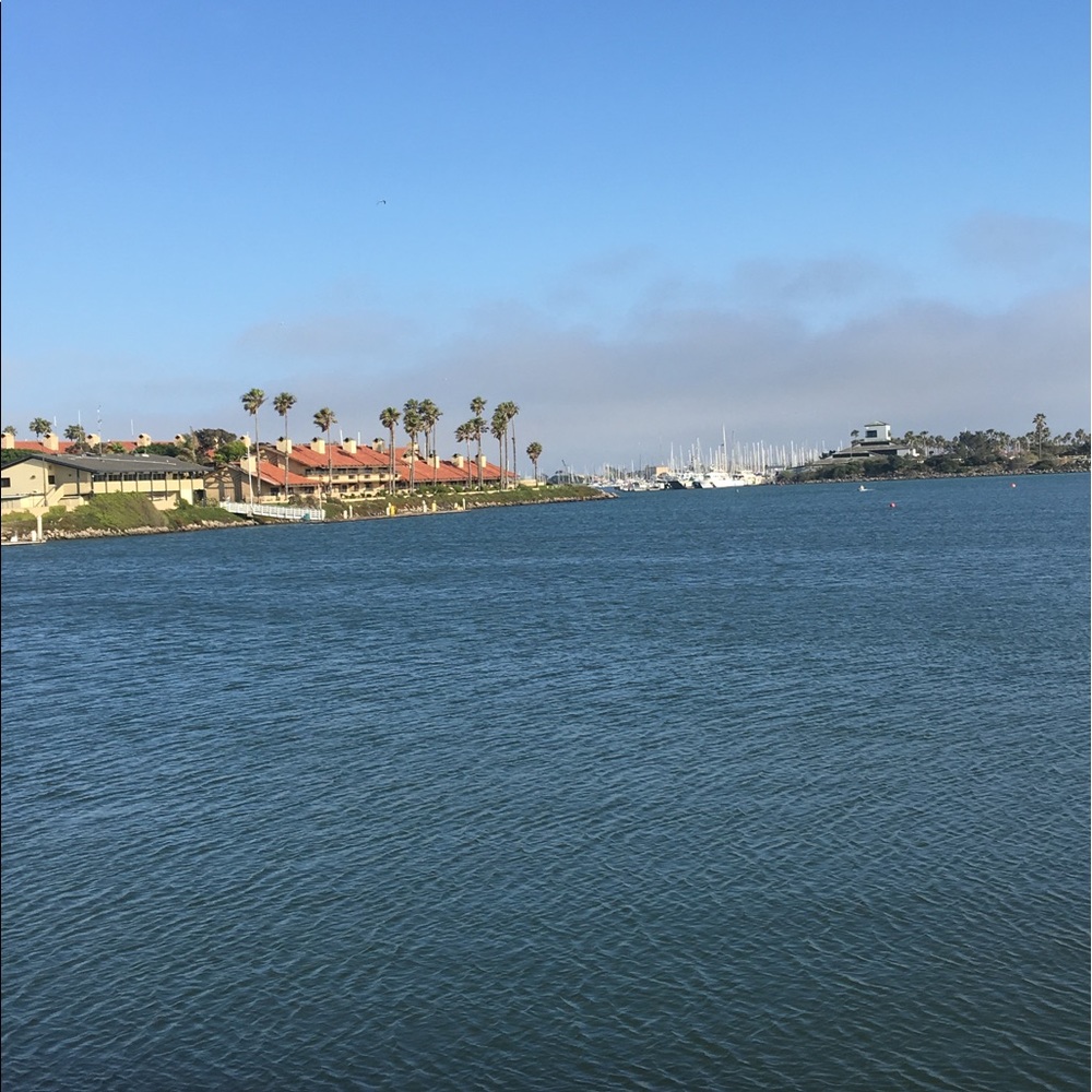 Meet your Posher, Angelica