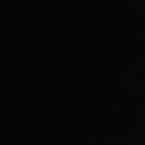 Meet your Posher, Donald