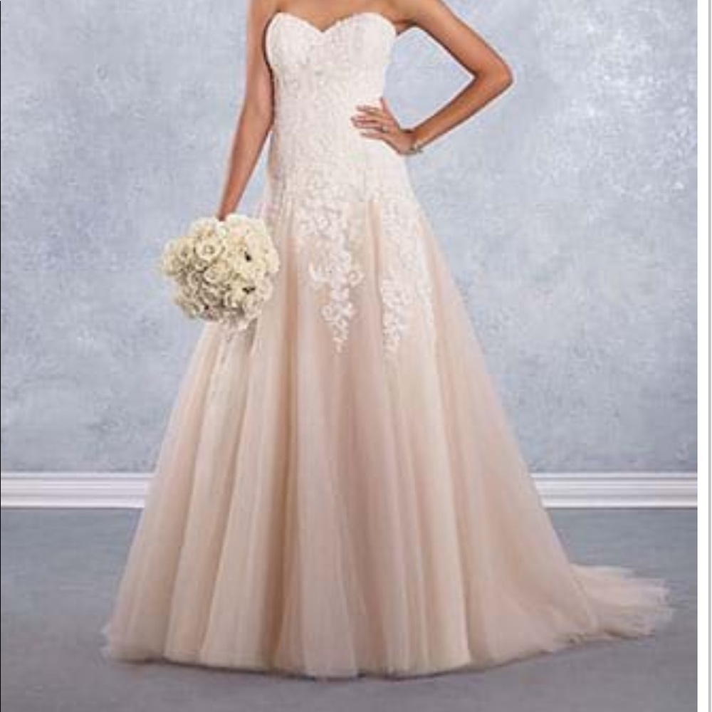 Beautiful Dropped Waist/Fitted Wedding Gown