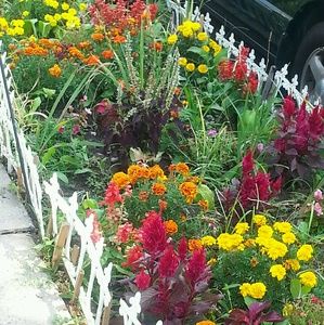 Meet your Posher, Kiya