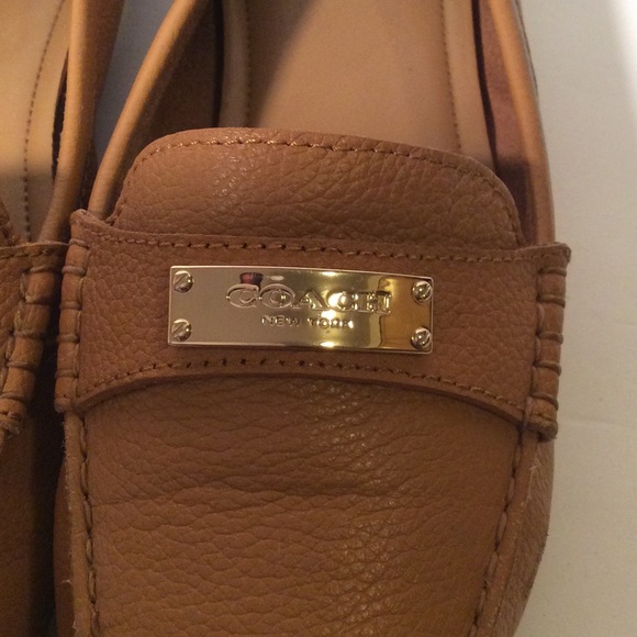 Coach - Picture 2 of 8