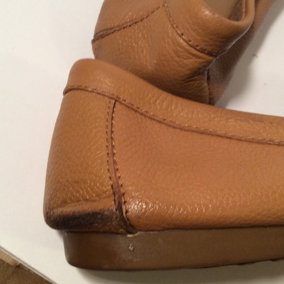 Coach - Picture 6 of 8