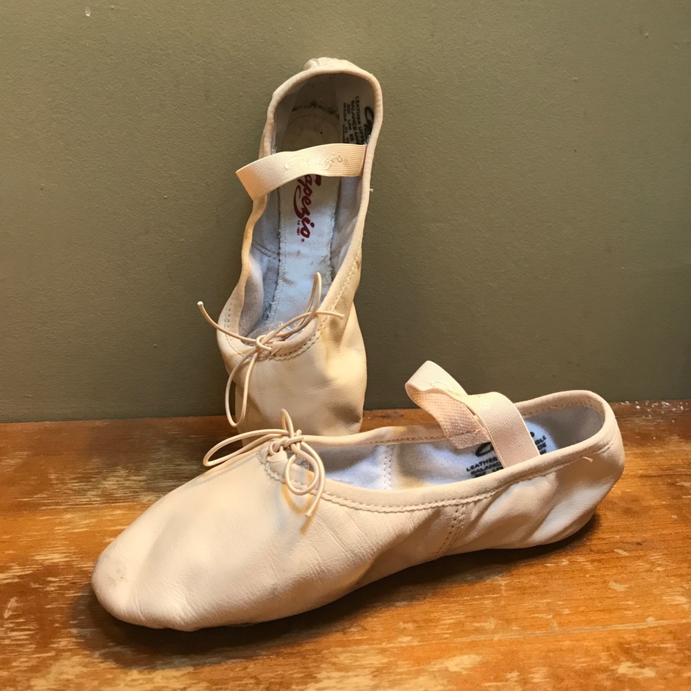 Girls Ballet Shoes and Dance Skirt