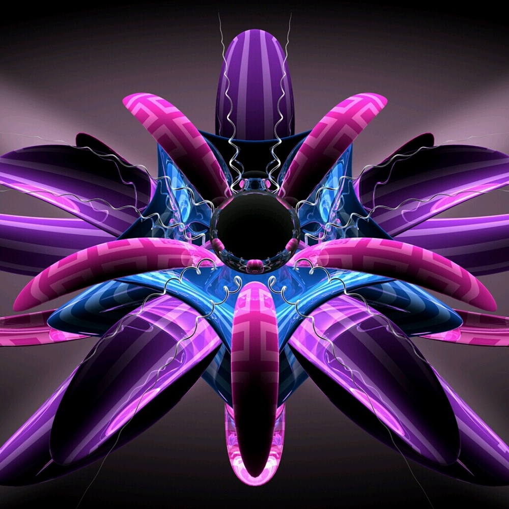 Meet your Posher, Wendy