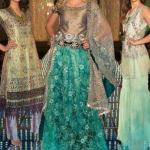 Indian/Pakistani Wedding Dress