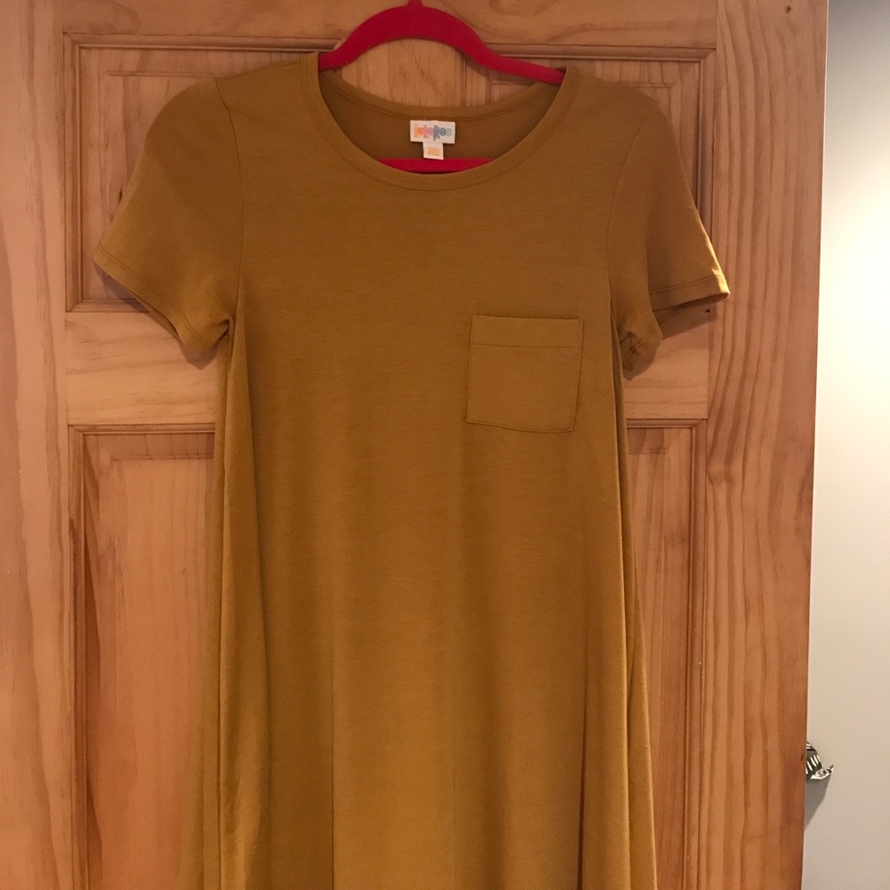 LuLaRoe Carly Dress