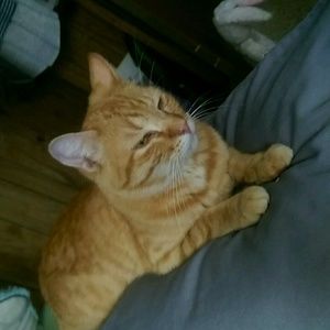 Meet your Posher, Erica