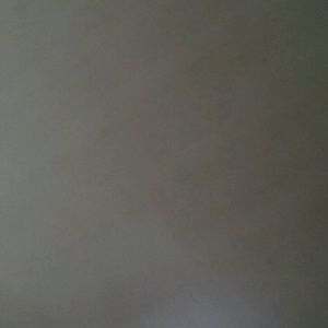 Meet your Posher, Allen