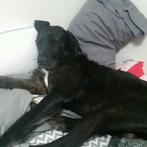 Meet your Posher, Tonya