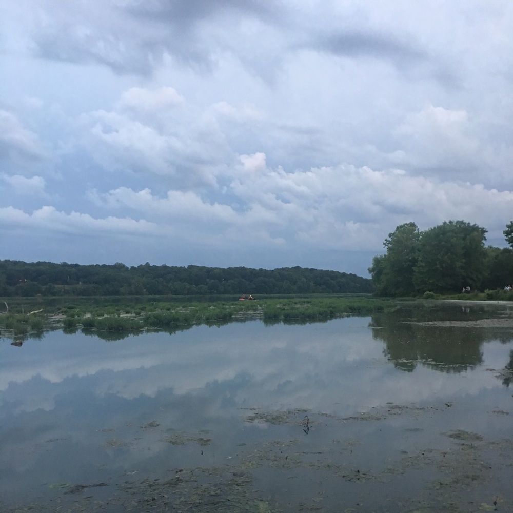 Meet your Posher, Carli