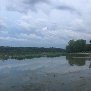 Meet your Posher, Carli