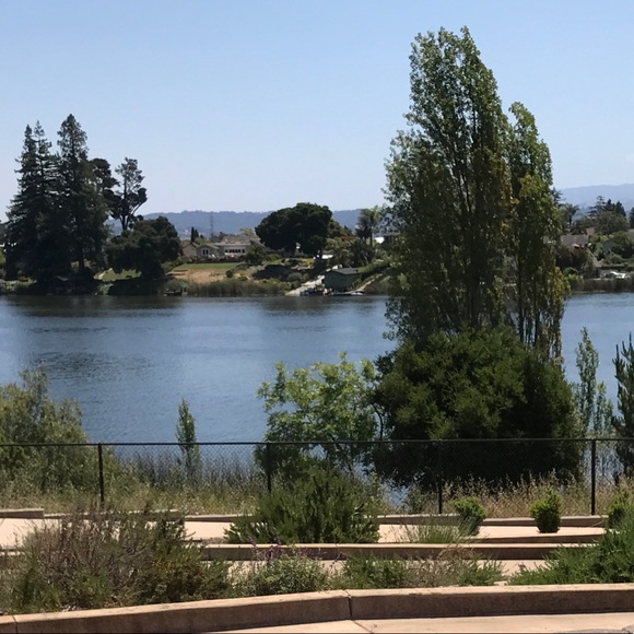 Meet your Posher, Isabella - Picture 1 of 1