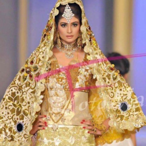 Indian/Pakistani Bridal Lehenga/Wedding Dress