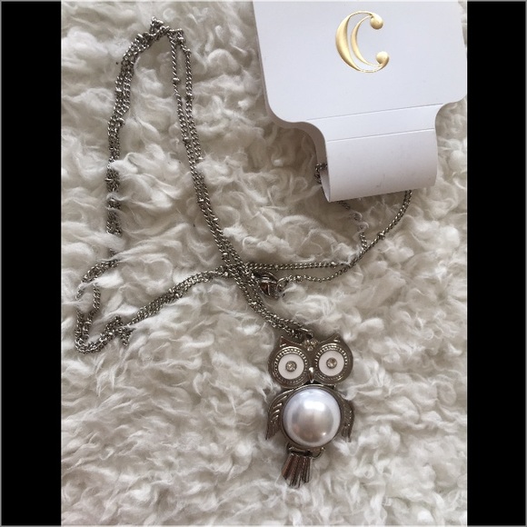 Charming Charlie Jewelry - NWT Charming Charlie long silver pendant necklace