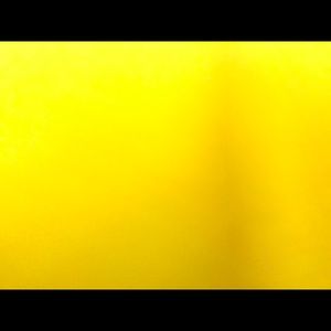 Meet your Posher, Gavin